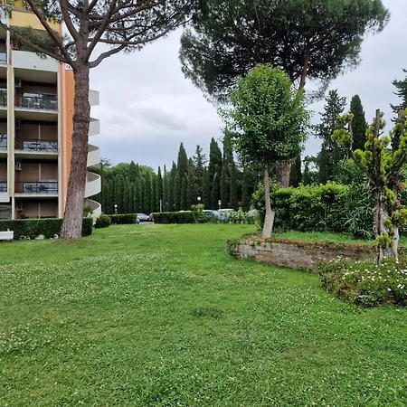 Aurelia Vatican 229 *